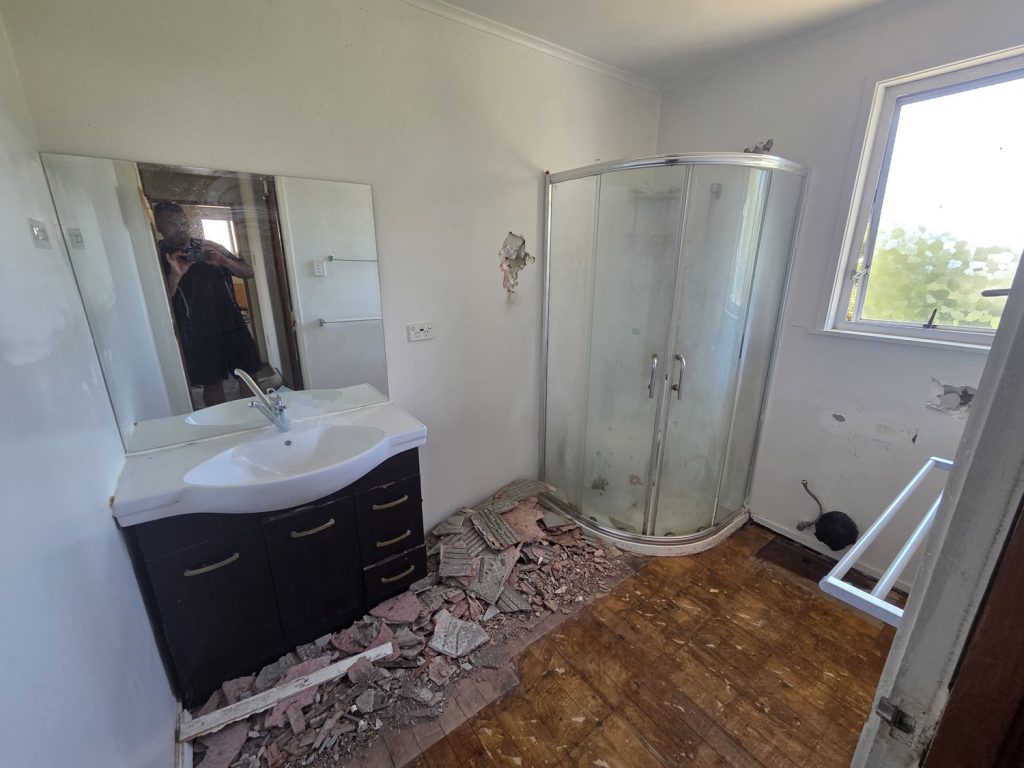 Sycamore gallery image